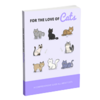 FREE CALM FELINE GUIDE